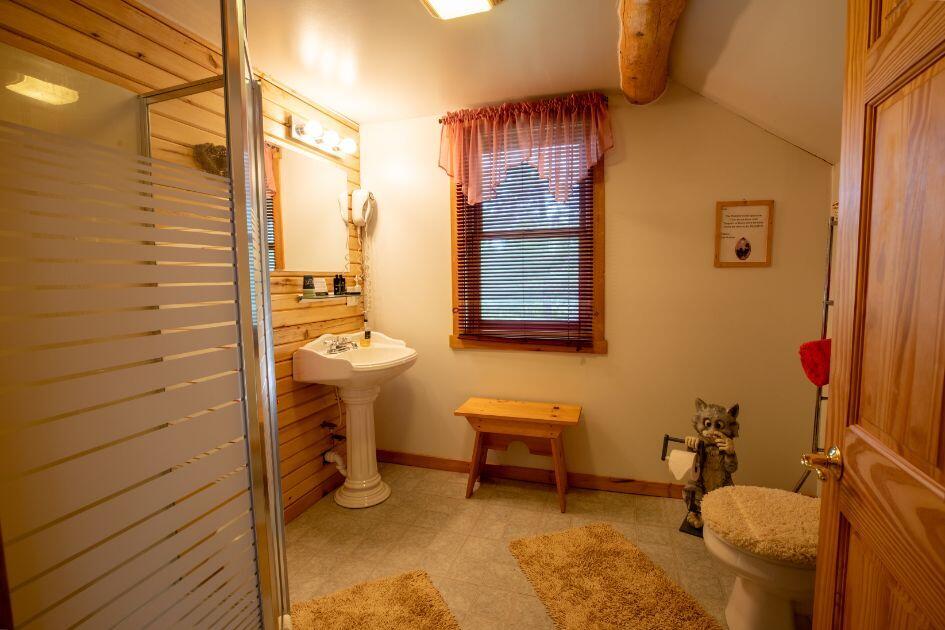 339 Clark Road Crystal Falls, MI 49920 - Photo 30 of 68 Crystal falls property-46