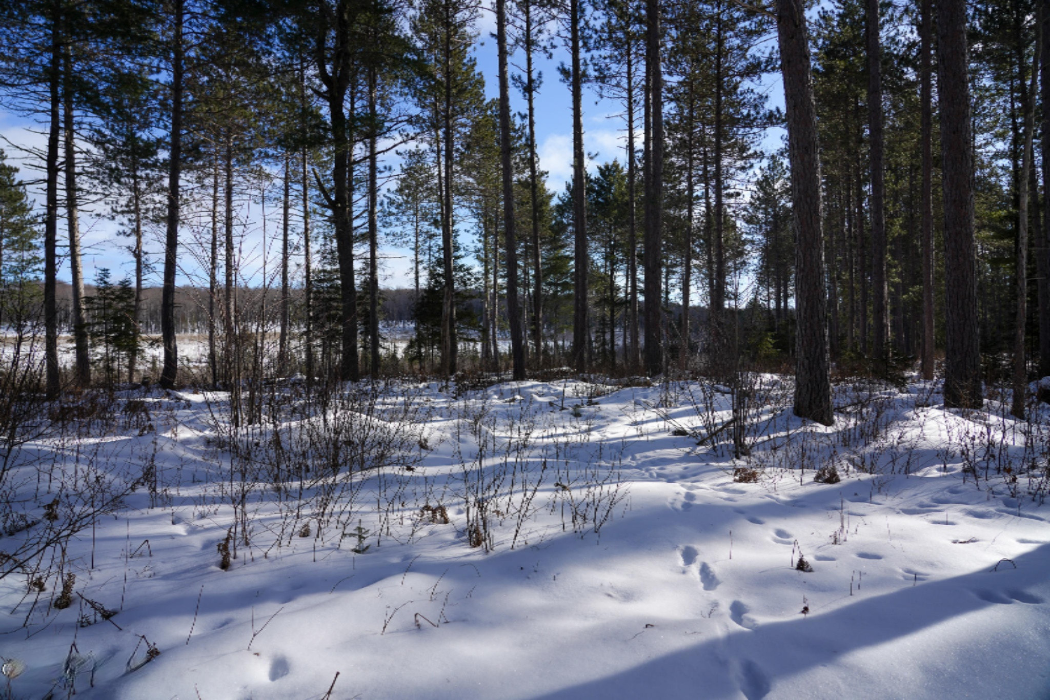 339 Clark Road Crystal Falls, MI 49920 - Photo 54 of 68 DSC03139
