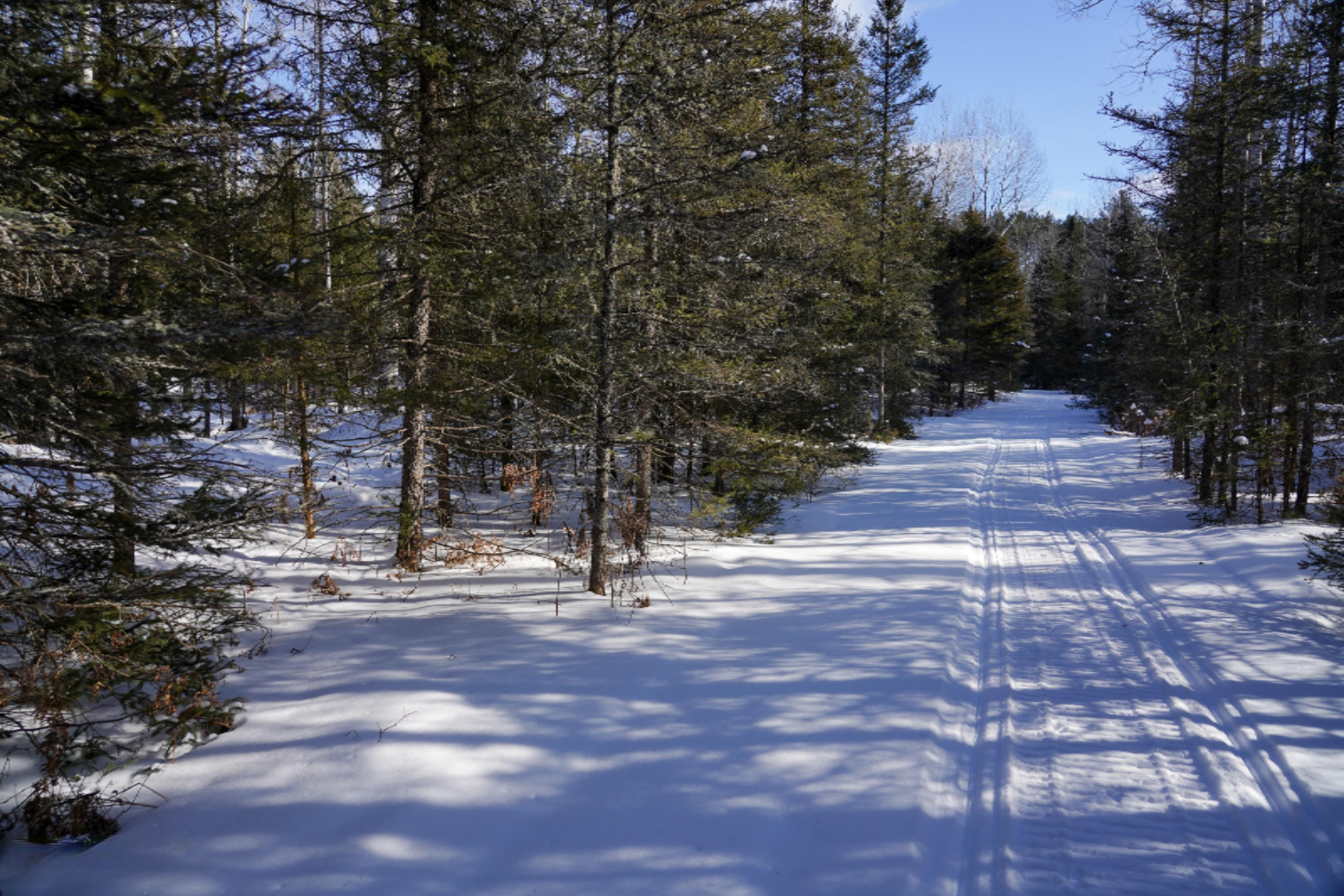 339 Clark Road Crystal Falls, MI 49920 - Photo 56 of 68 DSC03152