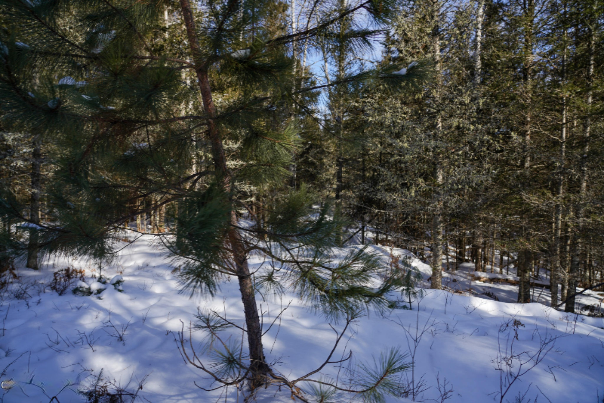 339 Clark Road Crystal Falls, MI 49920 - Photo 57 of 68 DSC03157