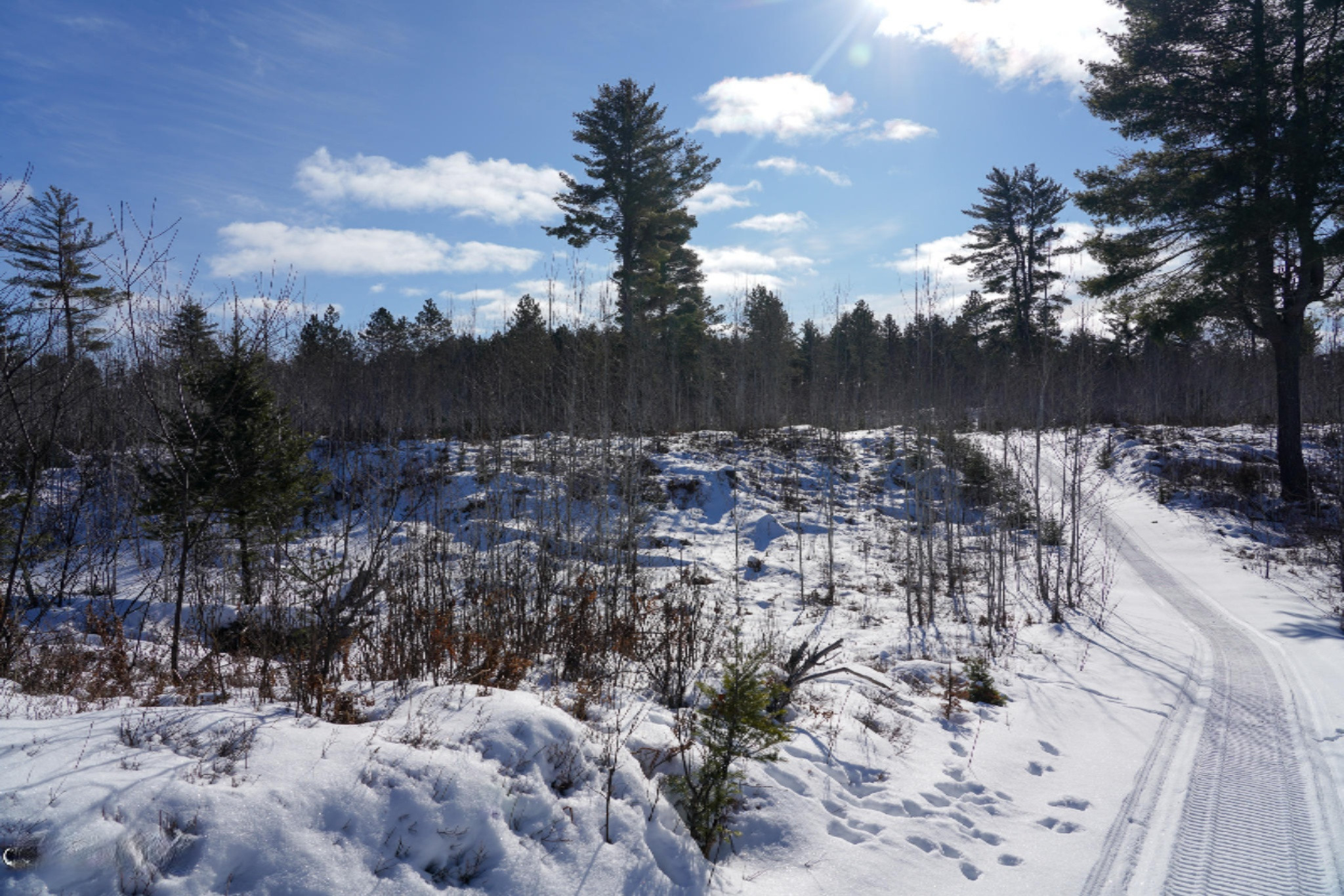 339 Clark Road Crystal Falls, MI 49920 - Photo 64 of 68 DSC03170