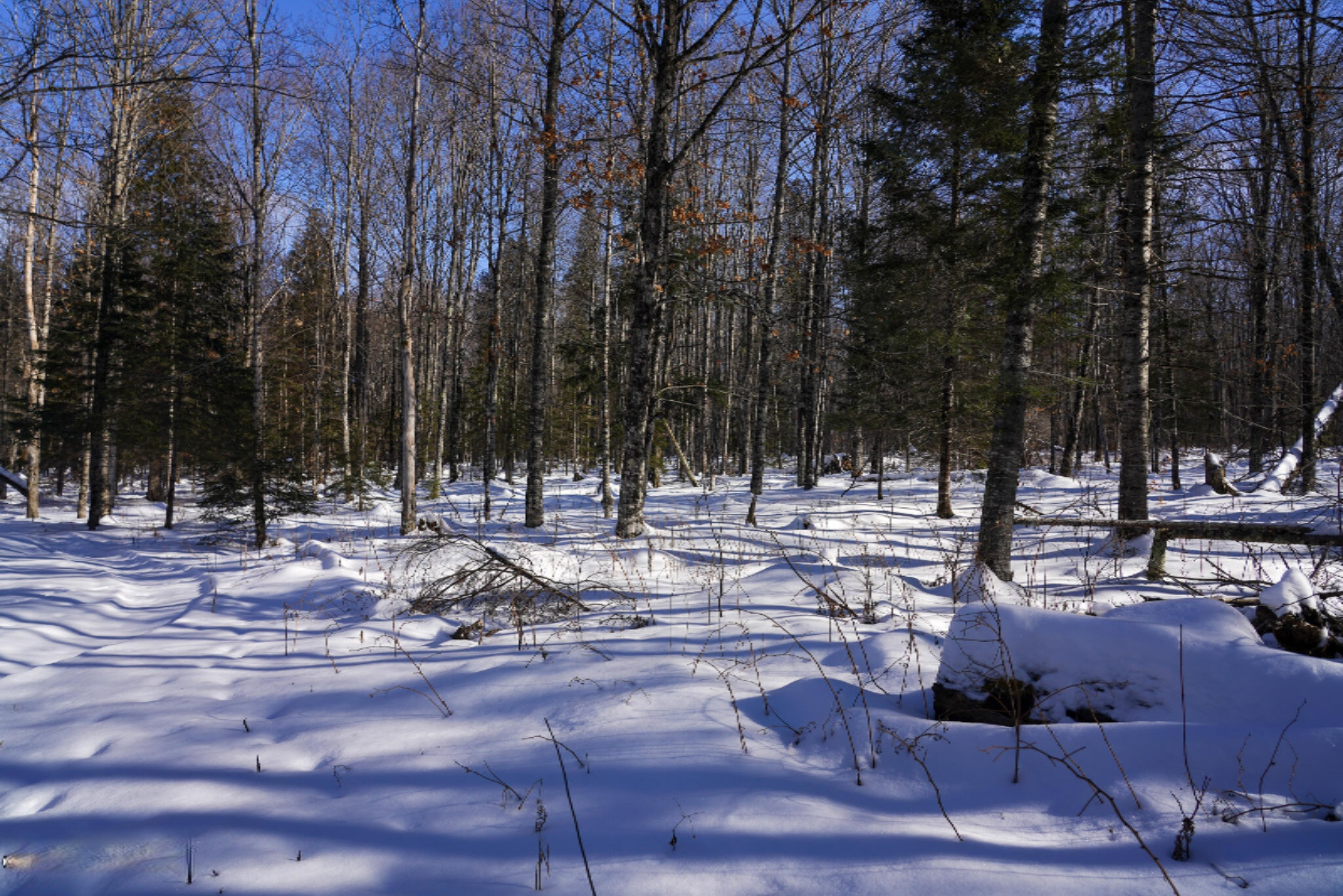 339 Clark Road Crystal Falls, MI 49920 - Photo 66 of 68 DSC03182