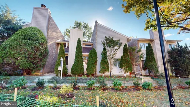 a view of a park with a tree