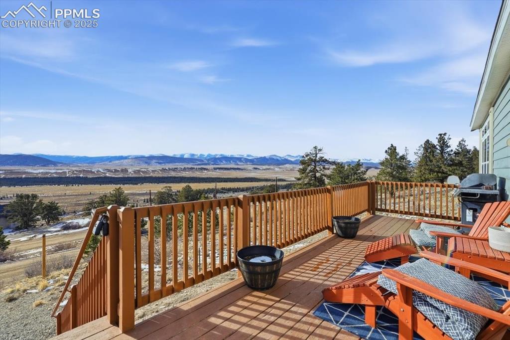 204 Crooked Creek Road Fairplay, CO 80440 - Photo 46 of 50