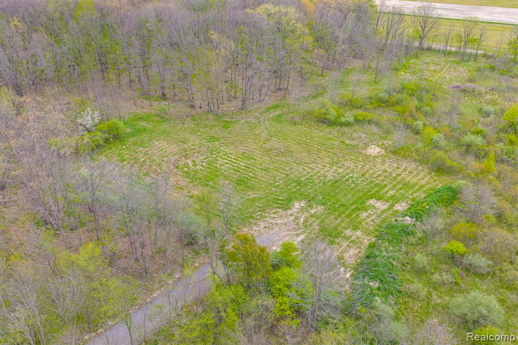0 Martin Road Capac, MI 48014 - Photo 6 of 20