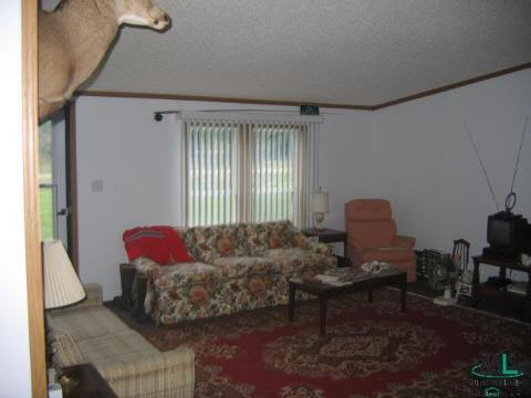 330 West Harrington Road Peck, MI 48466 - Photo 2 of 9 283659-1.JPG