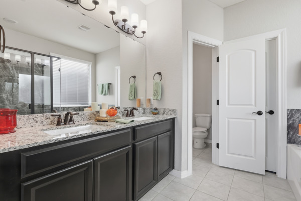 3604 Chaff Lane Pflugerville, TX 78660 - Photo 14 of 26 a bathroom with a sink vanity and mirror