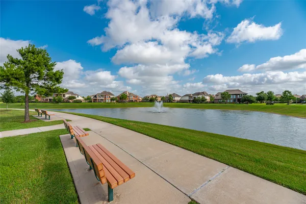 a view of a park with large trees
