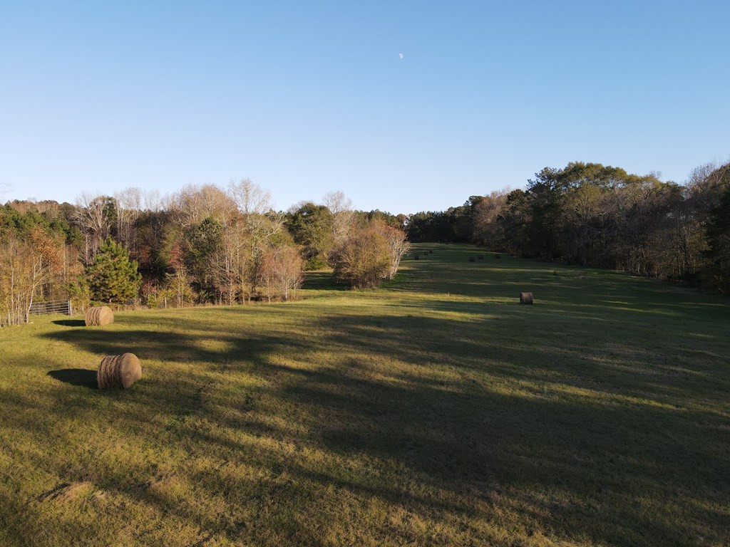 397 Moore Road Rayle, GA 30660 - Photo 13 of 20