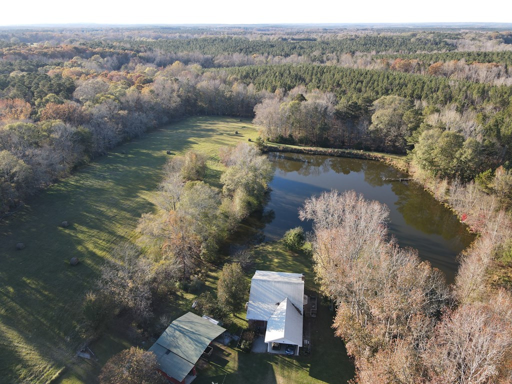 397 Moore Road Rayle, GA 30660 - Photo 4 of 20