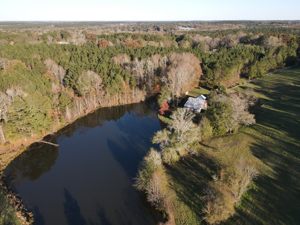 397 Moore Road Rayle, GA 30660 - Photo 5 of 20