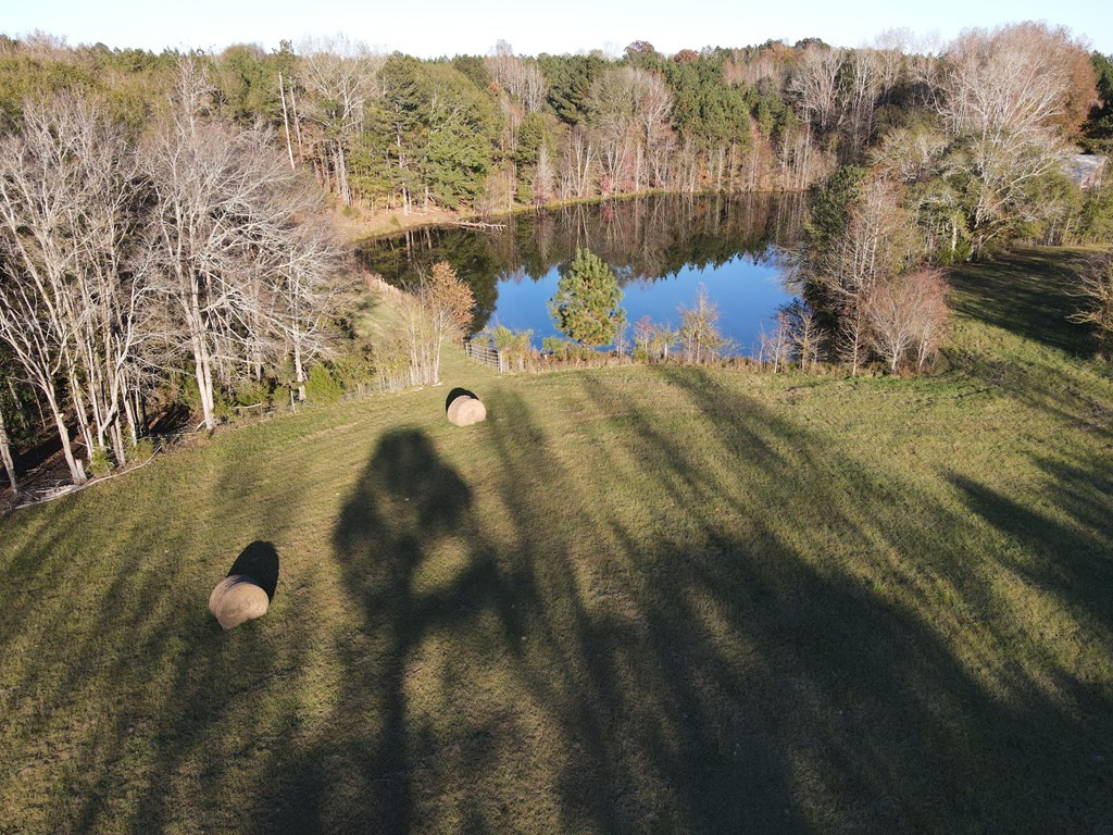 397 Moore Road Rayle, GA 30660 - Photo 6 of 20