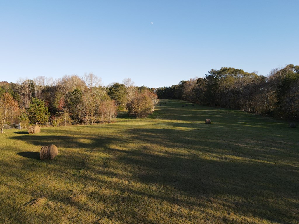 397 Moore Road Rayle, GA 30660 - Photo 8 of 20