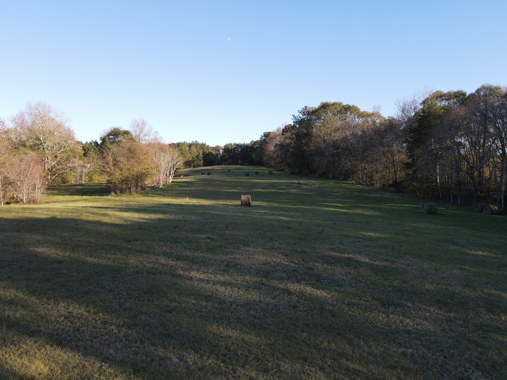 397 Moore Road Rayle, GA 30660 - Photo 9 of 20