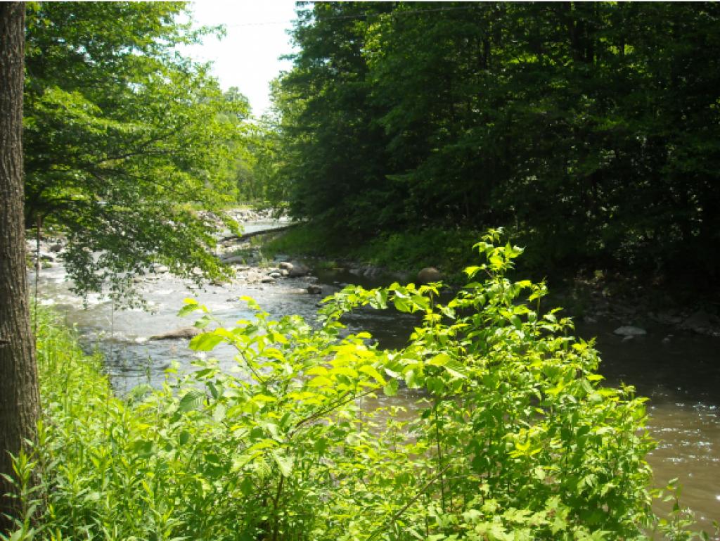 806 Brook Road West Windsor, VT 05037 - Photo 13 of 16
