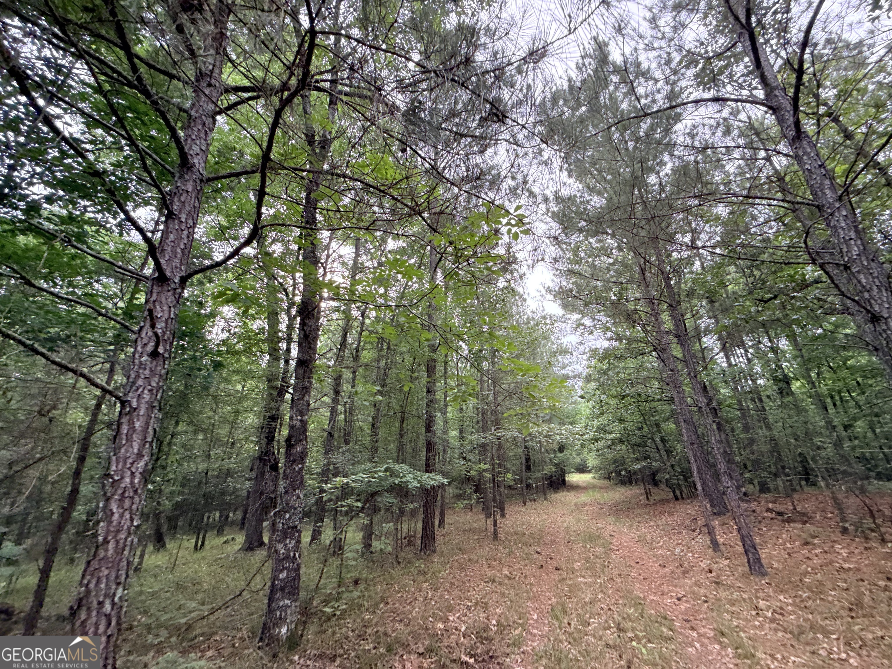 2 Bethesda Church Road Lexington, GA 30648 - Photo 18 of 66