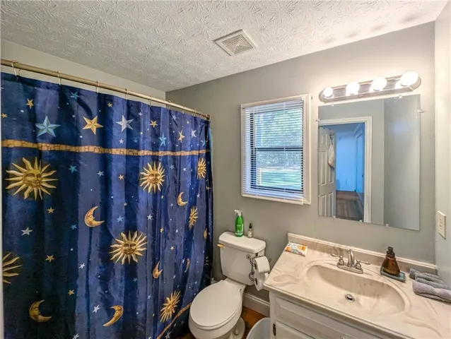 a bathroom with a sink vanity and toilet