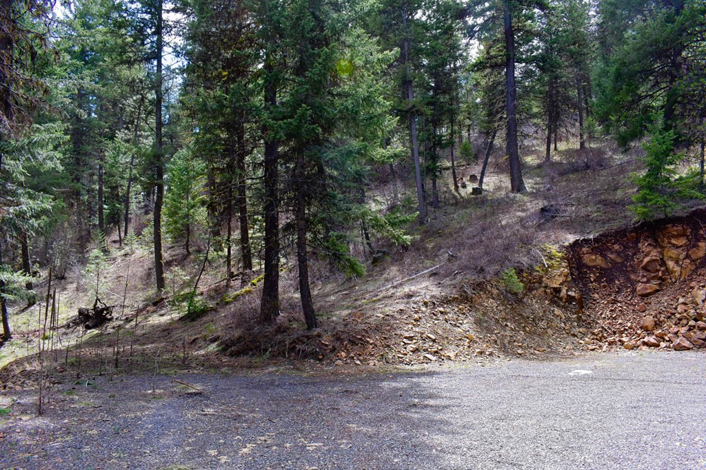 Lot 19 Little Salmon Road, Unit 19 New Meadows, ID 83654 - Photo 25 of 37