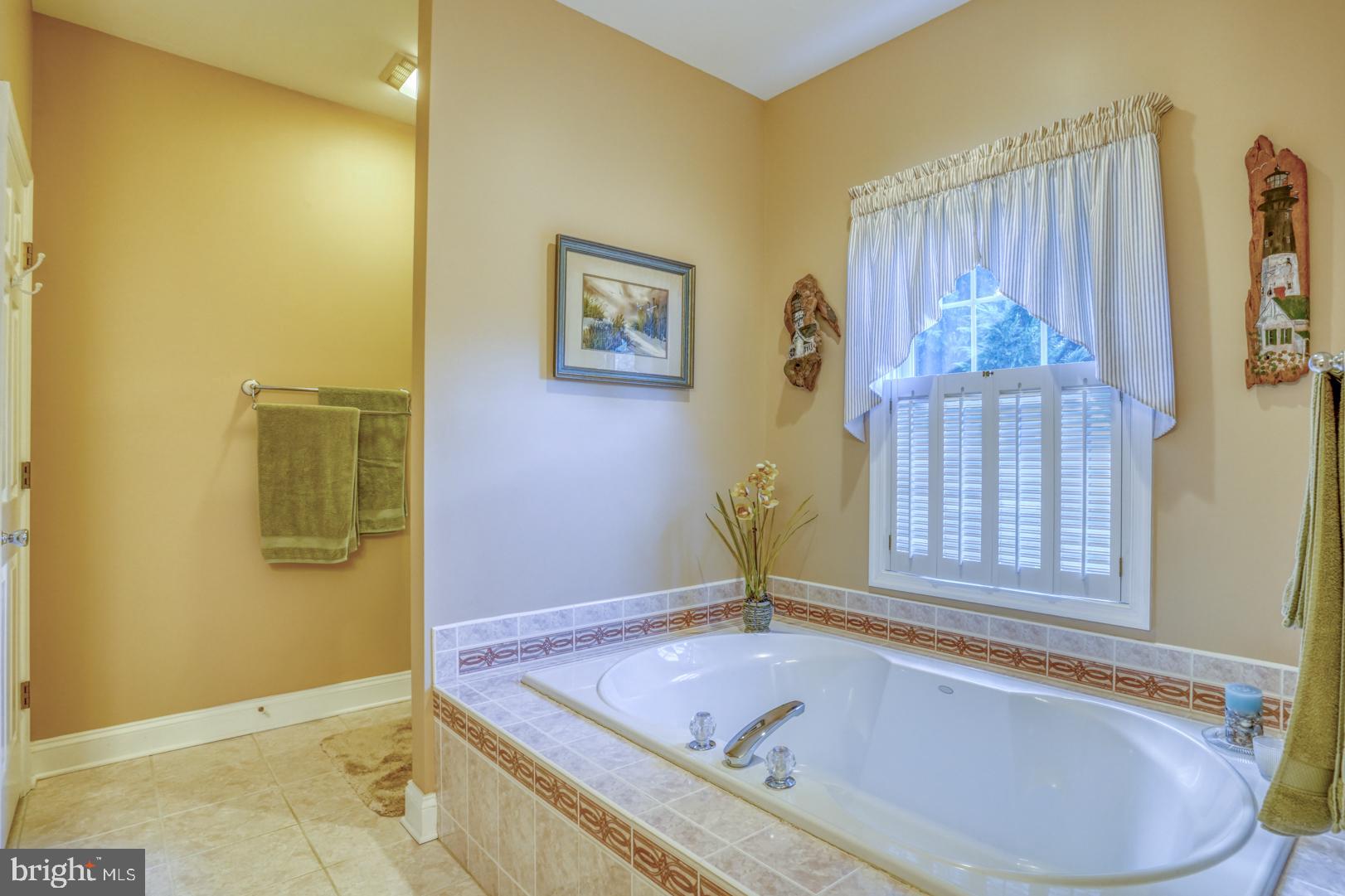 43 Chestnut Ridge Drive Magnolia, DE 19962 - Photo 28 of 51 Primary Bathroom