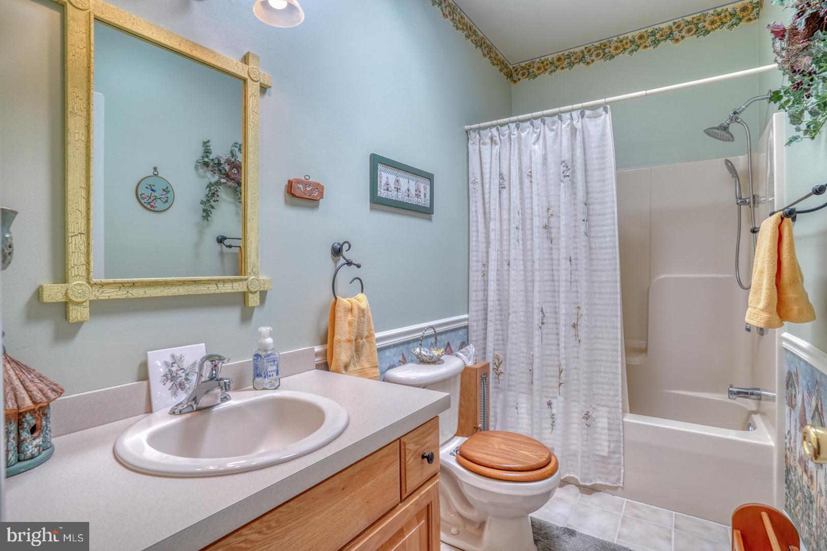 43 Chestnut Ridge Drive Magnolia, DE 19962 - Photo 35 of 51 Full Hall Bathroom
