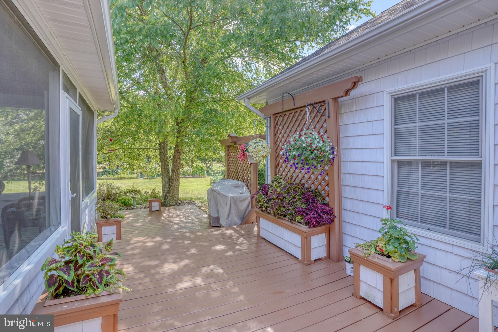 43 Chestnut Ridge Drive Magnolia, DE 19962 - Photo 44 of 51 Deck