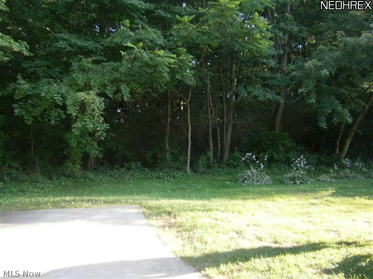 3290 Burbank Road Wooster, OH 44691 - Photo 25 of 25 Side yard view