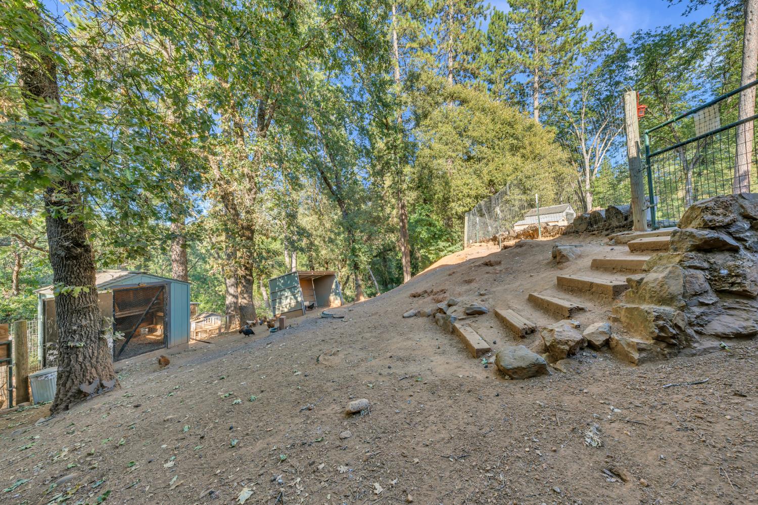 21930 Placer Hills Road Colfax, CA 95713 - Photo 72 of 98