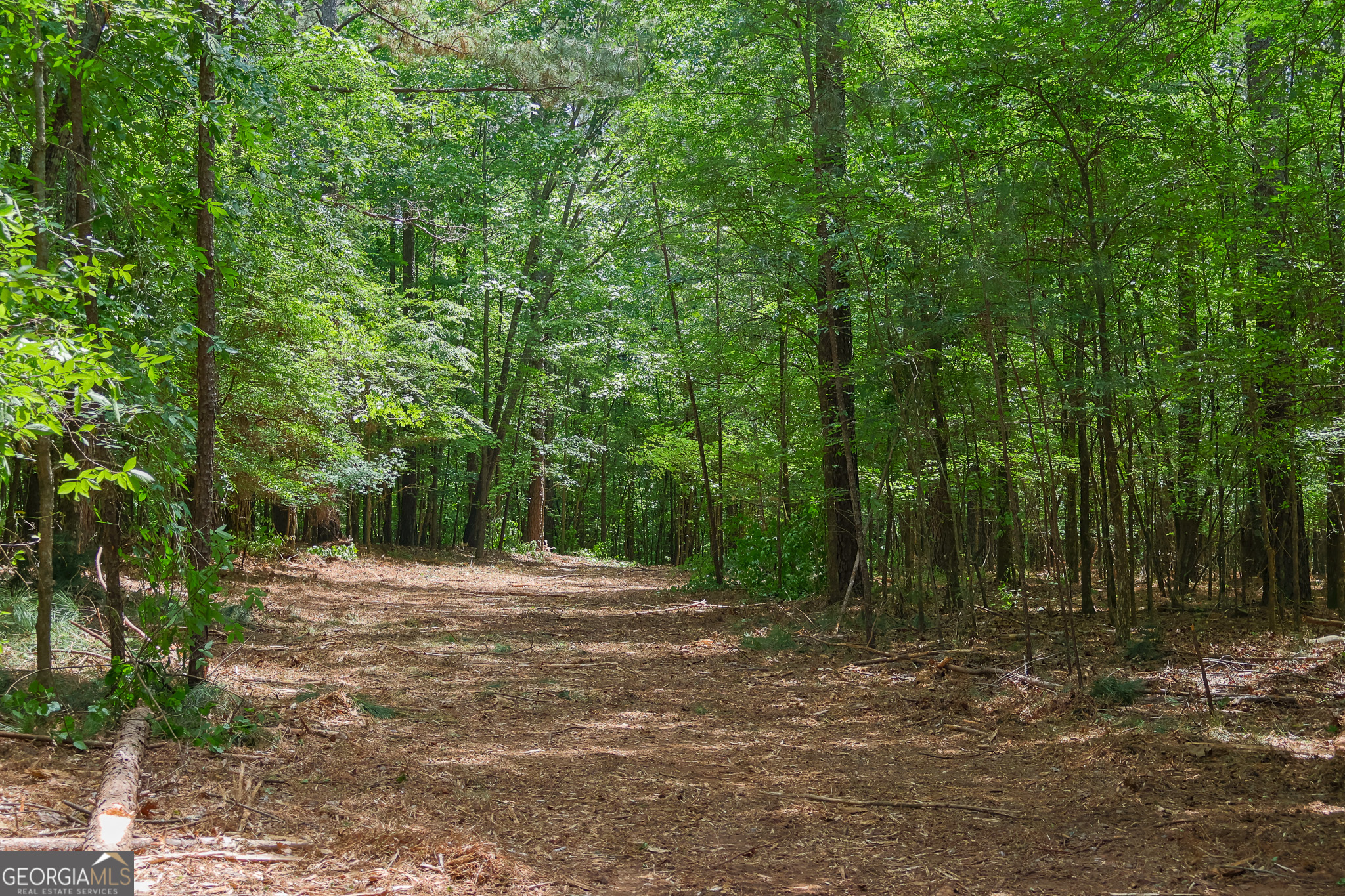 1 Marshall Road Buckhead, GA 30625 - Photo 23 of 32