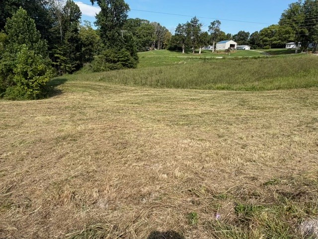 0 Collins Road Allons, TN 38541 - Photo 2 of 7 Gallery Image 2