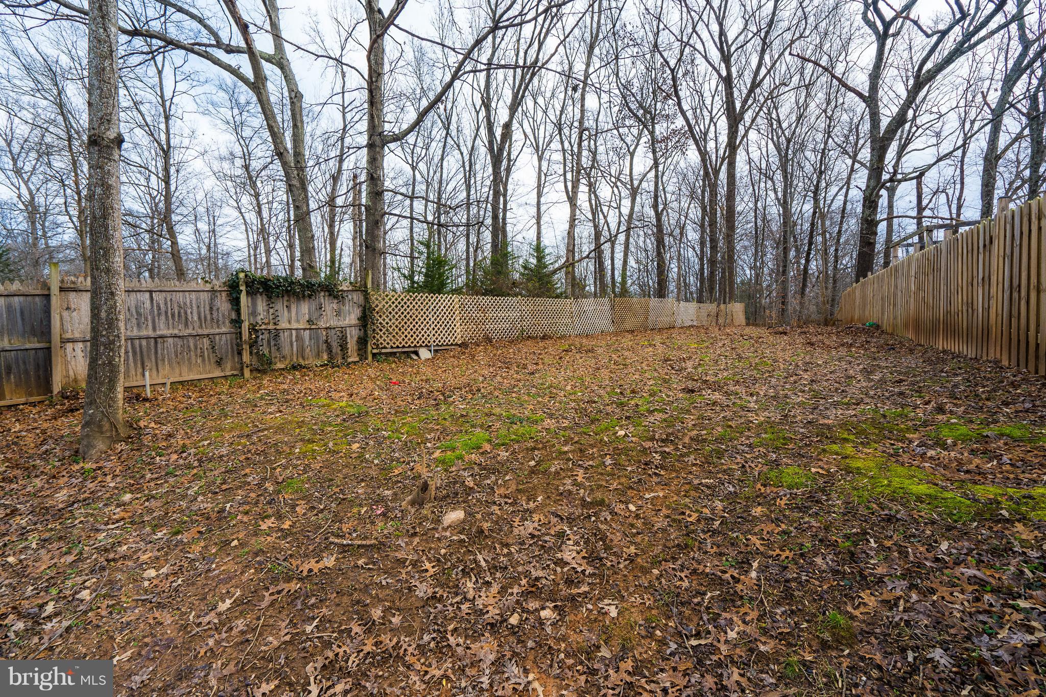 12807 Kahns Road Manassas, VA 20112 - Photo 60 of 60 Rear