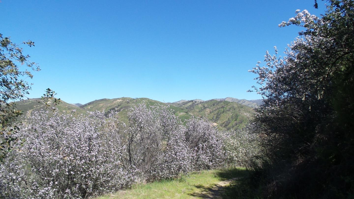 21435 Peroy Ranch Road Carmel Valley, CA 93924 - Photo 1 of 12 Gallery Image 1