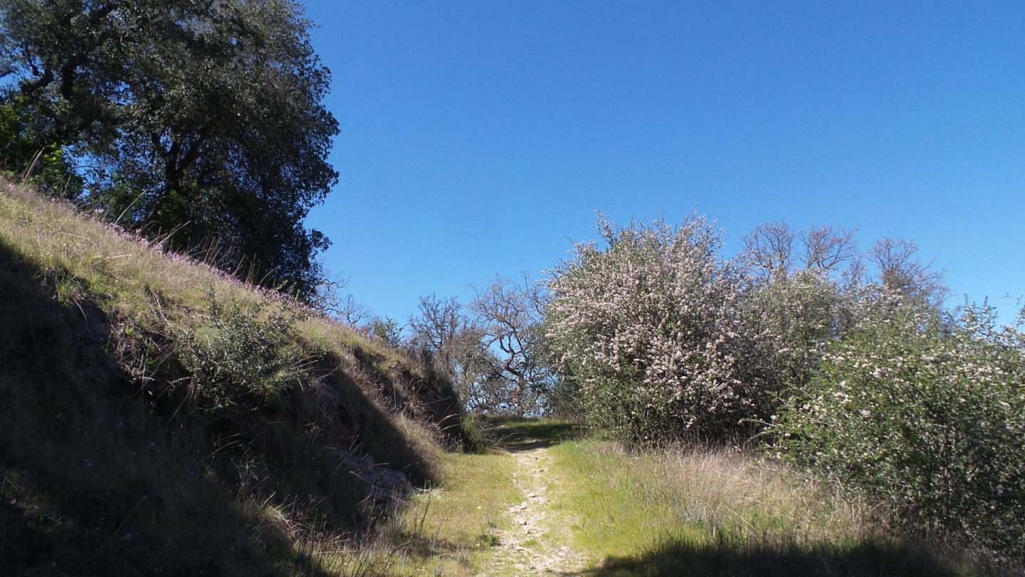 21435 Peroy Ranch Road Carmel Valley, CA 93924 - Photo 11 of 12 Gallery Image 11