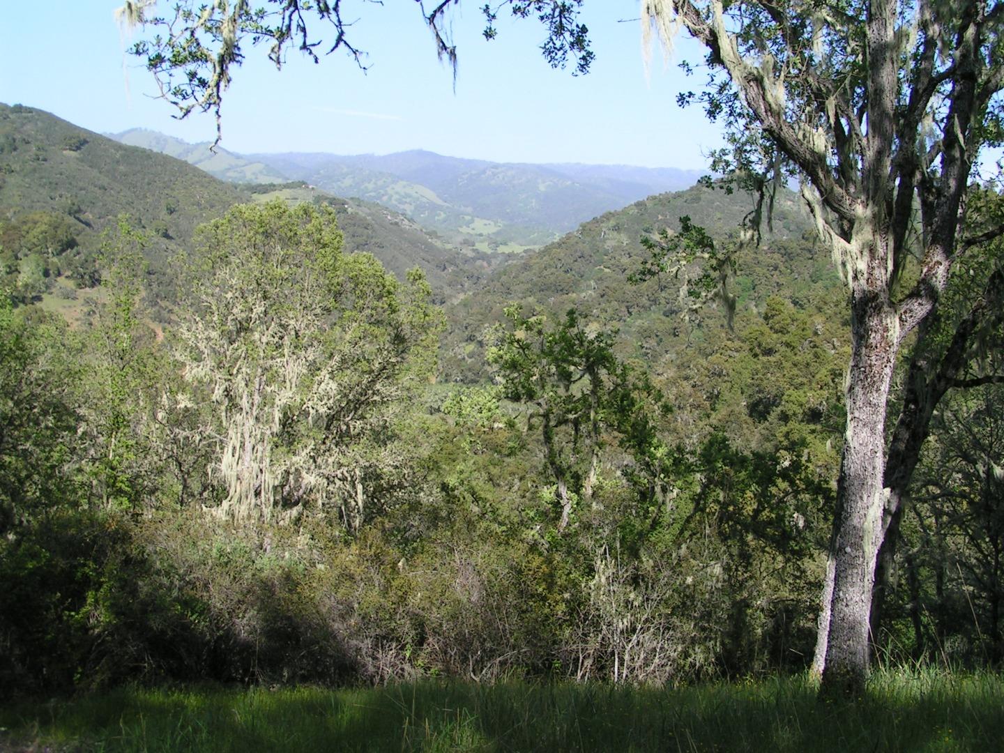 21435 Peroy Ranch Road Carmel Valley, CA 93924 - Photo 3 of 12 Gallery Image 3