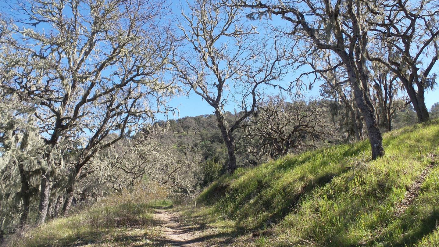 21435 Peroy Ranch Road Carmel Valley, CA 93924 - Photo 4 of 12 Gallery Image 4