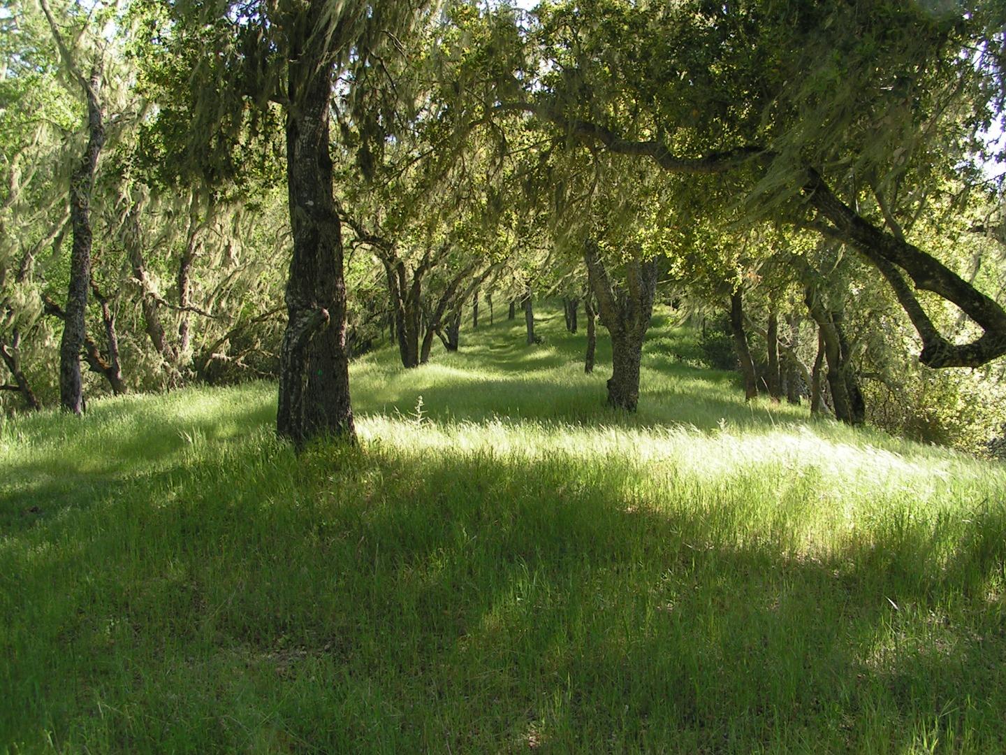 21435 Peroy Ranch Road Carmel Valley, CA 93924 - Photo 5 of 12 Gallery Image 5