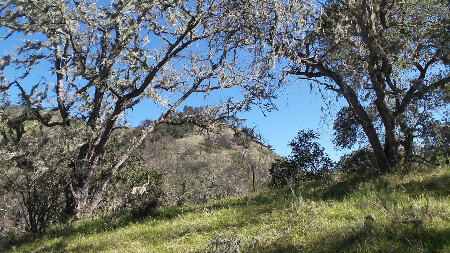 21435 Peroy Ranch Road Carmel Valley, CA 93924 - Photo 6 of 12 Gallery Image 6