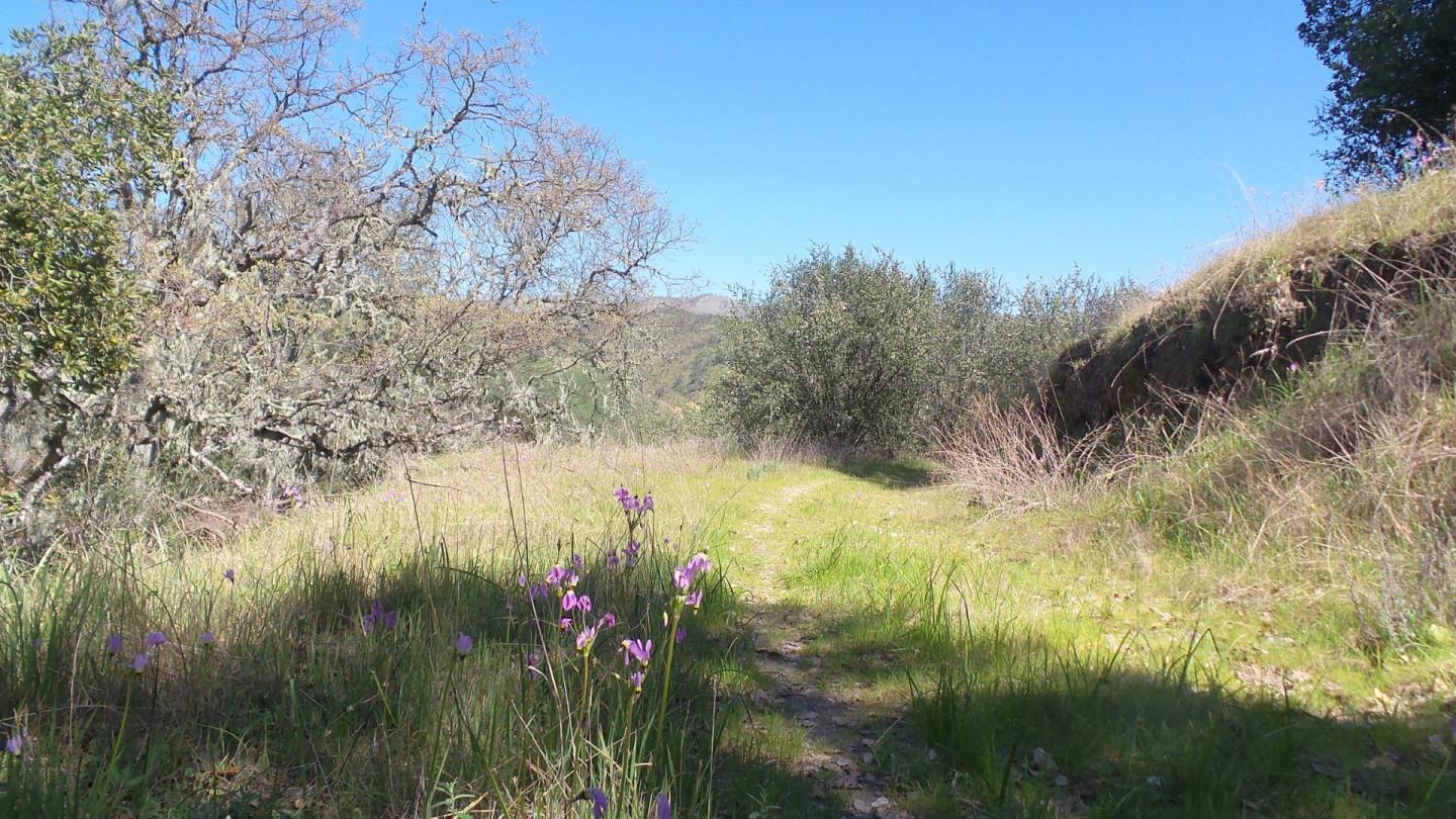 21435 Peroy Ranch Road Carmel Valley, CA 93924 - Photo 7 of 12 Gallery Image 7