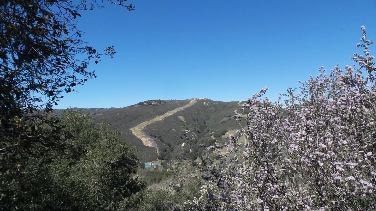 21435 Peroy Ranch Road Carmel Valley, CA 93924 - Photo 8 of 12 Gallery Image 8