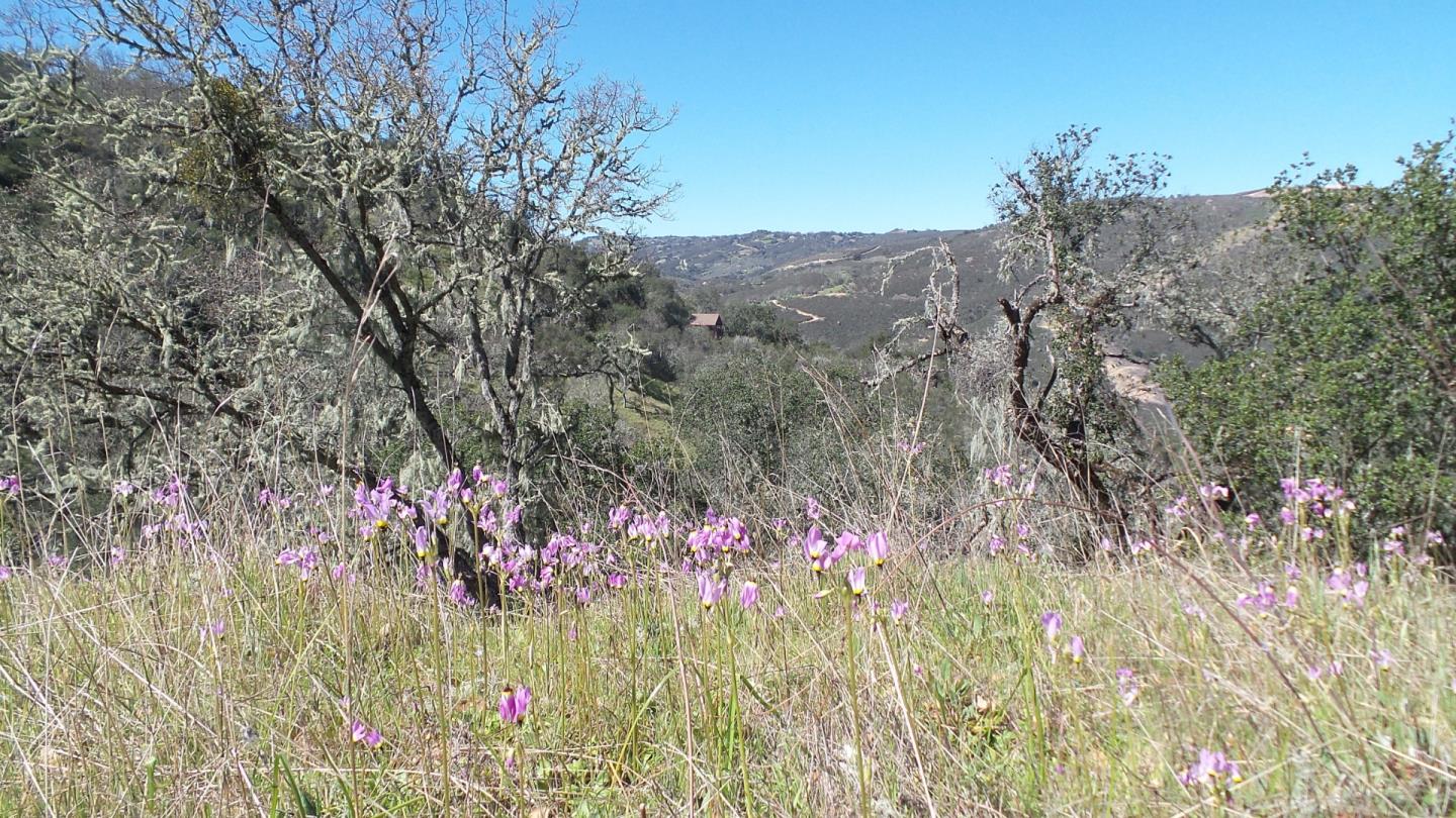 21435 Peroy Ranch Road Carmel Valley, CA 93924 - Photo 10 of 12 Gallery Image 10