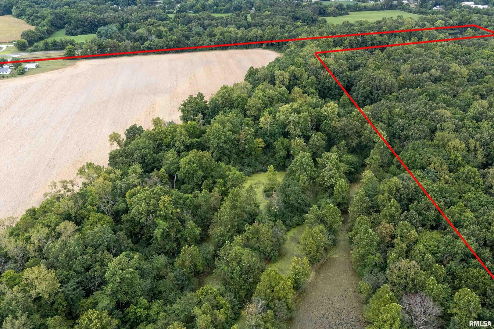 53 Private Road De Soto, IL 62924 - Photo 3 of 36 an aerial view of a houses with a street and trees