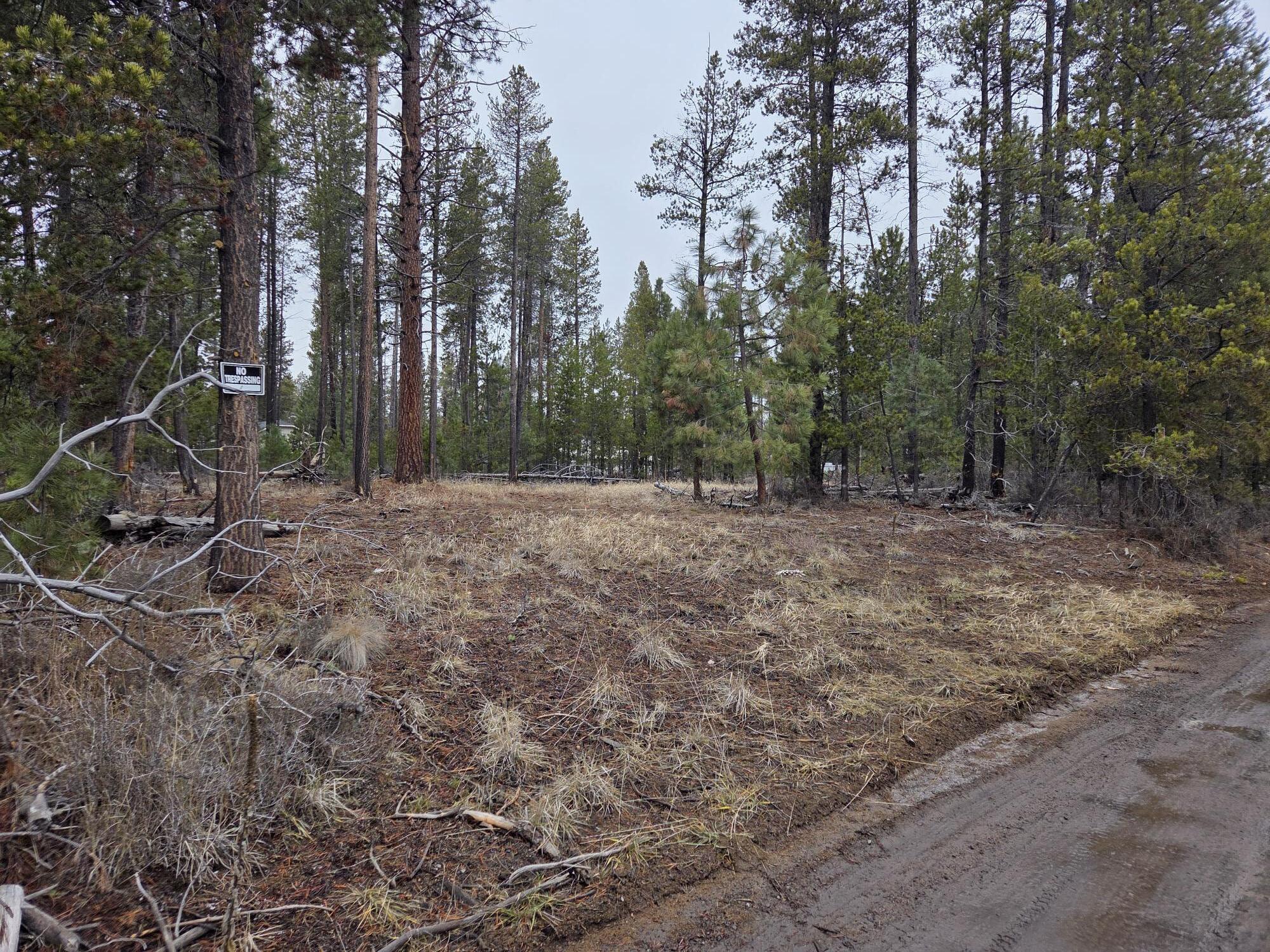 15627 Rim Drive La Pine, OR 97739 - Photo 3 of 9 a big yard with trees in the background