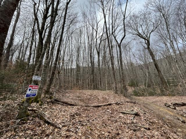 6 Squally Road Robbinsville, NC 28771 - Photo 3 of 19