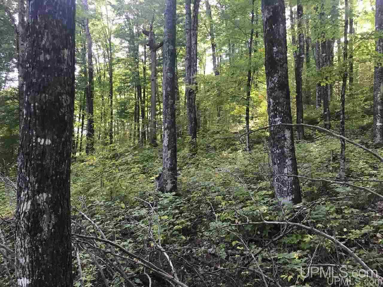 Tbd Ford River Road Arnold, MI 49831 - Photo 4 of 22