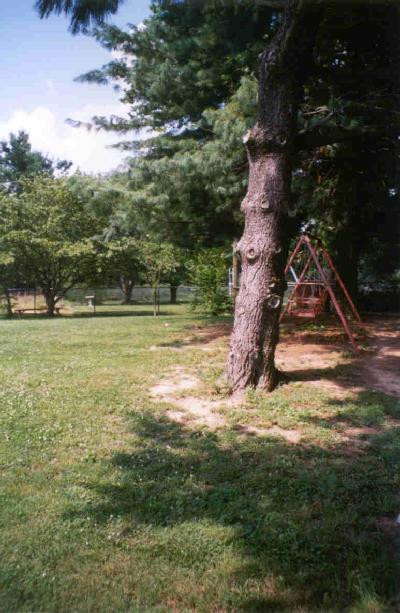 3413 Clays Mill Road Lexington, KY 40503 - Photo 9 of 12 Photo 9