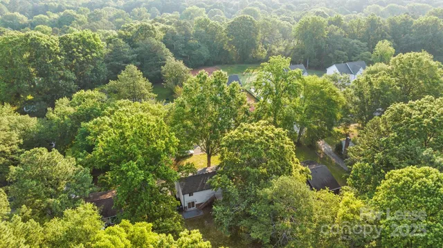 a view of a garden with plants