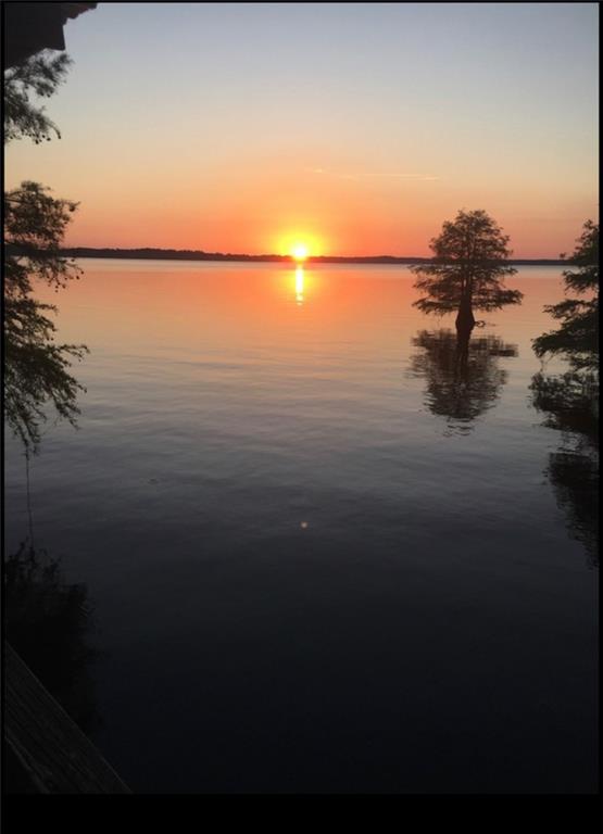 314 Pine Cove Road Goldonna, LA 71031 - Photo 2 of 22 Gallery Image 2