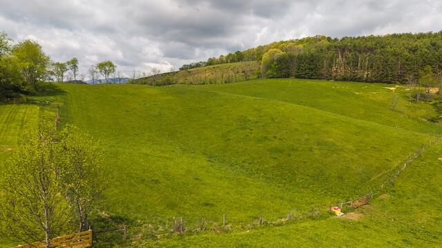 336 Turkey Run Lane Rural Retreat, VA 24368 - Photo 27 of 51 DJI_20250430115102_0408_D