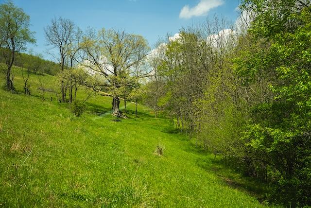 336 Turkey Run Lane Rural Retreat, VA 24368 - Photo 37 of 51 DSC07968