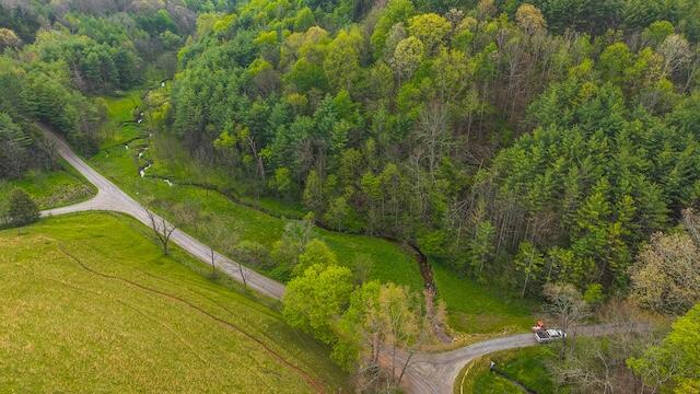 336 Turkey Run Lane Rural Retreat, VA 24368 - Photo 40 of 51 DJI_20250430111056_0379_D