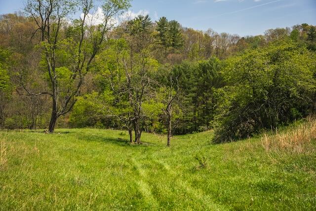 336 Turkey Run Lane Rural Retreat, VA 24368 - Photo 43 of 51 DSC07975